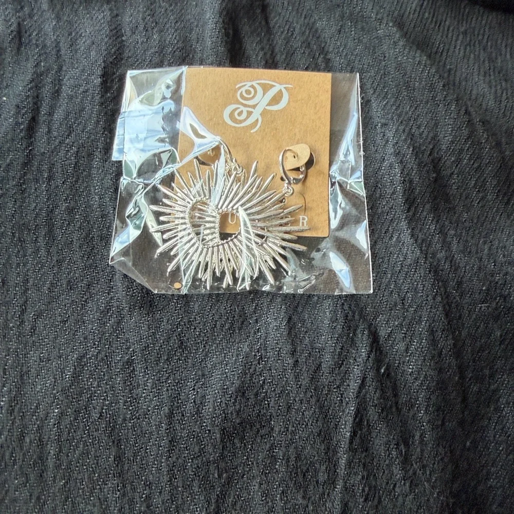 Plunder elegant silver